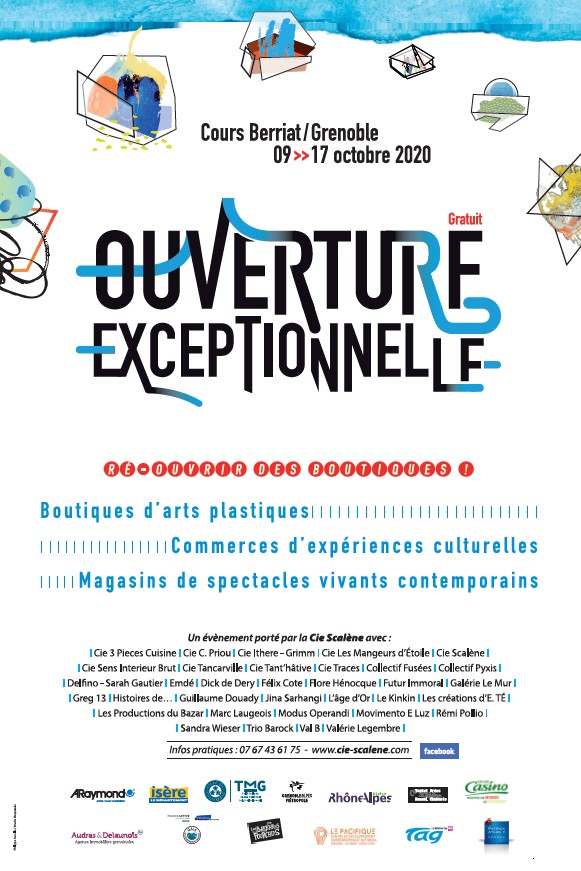 Affiche Grenoble 2020